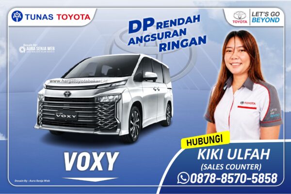 Voxy